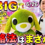 平成の大人気キャラ『お茶犬』超BIGぬいぐるみで登場!!攻略法はまさかの〇〇!!