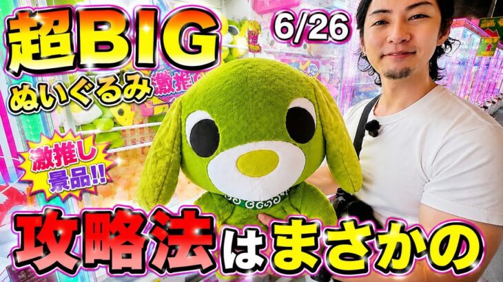 平成の大人気キャラ『お茶犬』超BIGぬいぐるみで登場!!攻略法はまさかの〇〇!!
