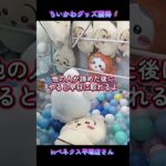 ちいかわプライズ品を獲得🦸ちいかわカレーのお供たちBIGぬいぐるみ他📝inベネクス平塚店さん📍#ベネクス平塚