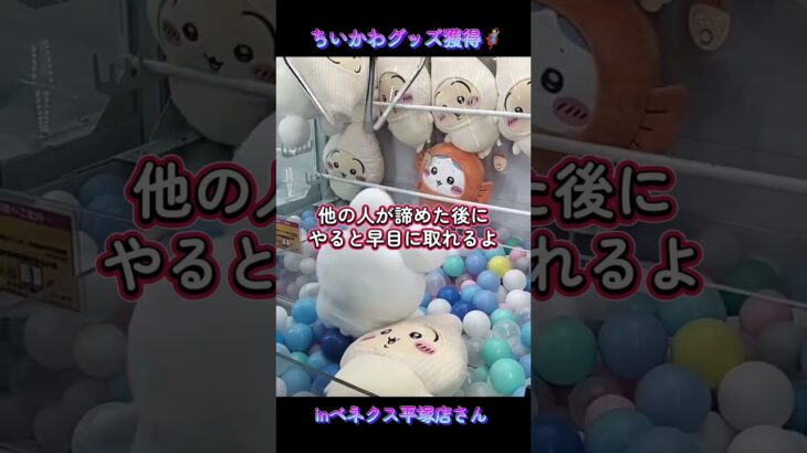 ちいかわプライズ品を獲得🦸ちいかわカレーのお供たちBIGぬいぐるみ他📝inベネクス平塚店さん📍#ベネクス平塚