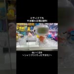 【Fantastic】すき間狙いの練習にぴったりなポケモンはコレ！！　#ポケットモンスター #ポケモン #pokemon #ぬいぐるみ #クレーンゲーム