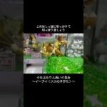 【狙ってない】イーブイ（メスのすがた）をGET！！　　#ポケットモンスター #ポケモン #pokemon #ぬいぐるみ #クレーンゲーム