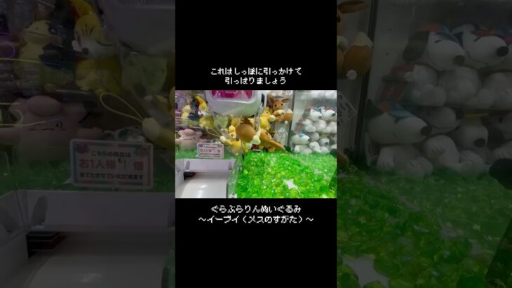 【狙ってない】イーブイ（メスのすがた）をGET！！　　#ポケットモンスター #ポケモン #pokemon #ぬいぐるみ #クレーンゲーム