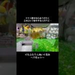 【当り前じゃない！？】ぐらぶらりんパモットをGET！！　　#ポケットモンスター #ポケモン #pokemon #ぬいぐるみ #クレーンゲーム