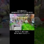 【少しの工夫】ポケピースヒバニーをGET！！　　#ポケットモンスター #ポケモン #pokemon #ぬいぐるみ #クレーンゲーム