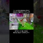 【世界の顔】ポケピースピカチュウをGET！！　　#ポケットモンスター #ポケモン #pokemon #ぬいぐるみ #クレーンゲーム