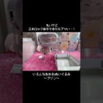 【まん丸の攻略】熱唱中!?なプリンGET！！#ポケットモンスター #ポケモン #pokemon #ぬいぐるみ #クレーンゲーム