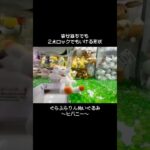 【GETしやすい】ぐらぶらりんヒバニーをGET！！　　#ポケットモンスター #ポケモン #pokemon #ぬいぐるみ #クレーンゲーム
