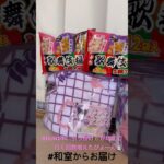【📍ROUND1】#ufoキャッチャー #クレーンゲーム景品 #クレーンゲーム動画 #クレーンゲーム#GET品#クレーンゲーム攻略#夾娃娃店#和室からお届け#ROUND1