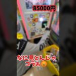 Switch2出るまで1000円ガチャやった結果 17
