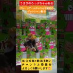 【必見】クレーンゲームのいろんな設定のゲットシーン集３【クレーンゲーム】#クレーンゲーム#UFOキャッチャー#コツ#攻略
