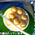 回転するゴールドカプセルから鍵を当てるゲーム【クレーンゲーム／UFOキャッチャー】