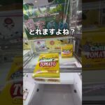 設定甘めは甘めなのか調査してみた#UFOキャッチャー #クレーンゲーム  #ゲームセンター #攻略 #shorts  #youtubeshorts