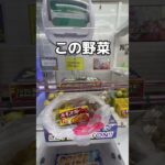 ゲームセンターでカレー作ってみた#UFOキャッチャー #クレーンゲーム  #ゲームセンター #攻略 #shorts  #youtubeshorts