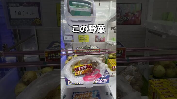 ゲームセンターでカレー作ってみた#UFOキャッチャー #クレーンゲーム  #ゲームセンター #攻略 #shorts  #youtubeshorts