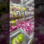 デッカい小人を乱獲してみた#UFOキャッチャー #クレーンゲーム  #ゲームセンター #攻略 #shorts  #youtubeshorts