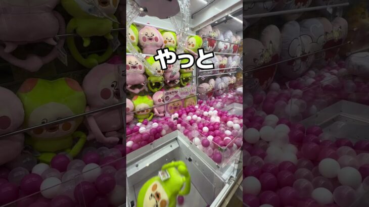 デッカい小人を乱獲してみた#UFOキャッチャー #クレーンゲーム  #ゲームセンター #攻略 #shorts  #youtubeshorts