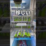 両替から取れるまでノーカットチャレンジやってみた#UFOキャッチャー #クレーンゲーム  #ゲームセンター #攻略 #shorts  #youtubeshorts
