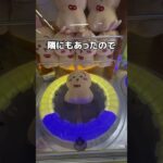 バッグをパンパンになるまで取ってみた#UFOキャッチャー #クレーンゲーム  #ゲームセンター #攻略 #shorts  #youtubeshorts