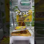 アコースティックギターを取ってみた#UFOキャッチャー #クレーンゲーム  #ゲームセンター #攻略 #shorts  #youtubeshorts