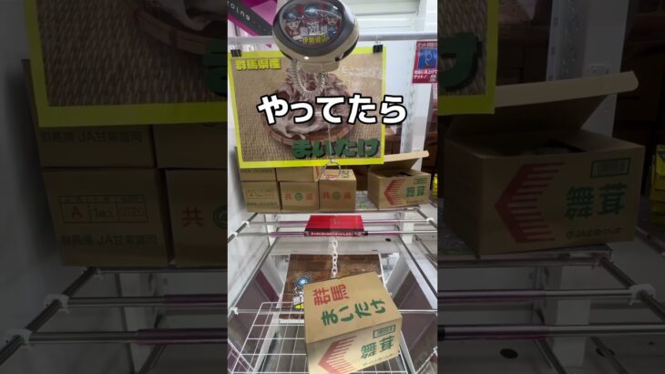 ゲームセンターでまいたけを収穫してみた#UFOキャッチャー #クレーンゲーム  #ゲームセンター #攻略 #shorts  #youtubeshorts