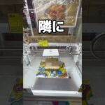 板がイッちゃったらしい#UFOキャッチャー #クレーンゲーム  #ゲームセンター #攻略 #shorts  #youtubeshorts