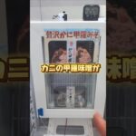 UFOキャッチャーでカニの甲羅味噌が取れる世界線に生きてる！！#クレーンゲーム #ufoキャッチャー #ゲームセンター #クレーンゲーム攻略