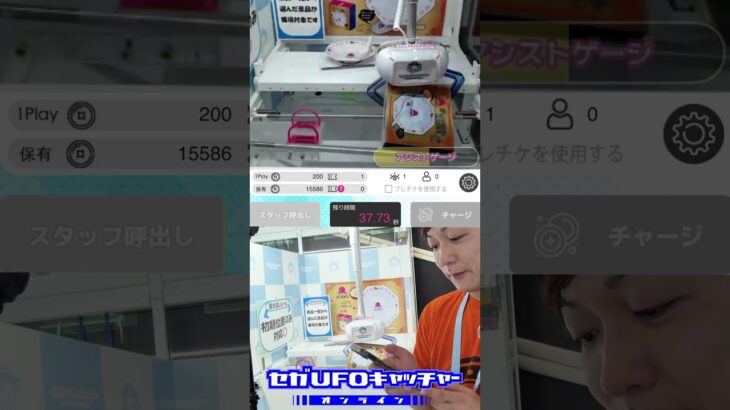 バーミヤンのお皿までUFOキャッチャーで獲れる時代【気ままにUFOキャッチャー66】#shorts