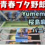 ずり上げの奥行注意　Yumemirize桜島麻衣バニー　青春ブタ野郎シリーズ