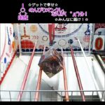 のんびりオンクレ🌟なんか(　ﾟдﾟ)ｸﾚ!! #clawmachine #オンクレ #クレーンゲーム #ゲット