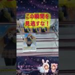 【クレーンゲーム】一瞬の隙も見逃さない！橋渡し設定で「回す」形を見極める方法 in クレーンゲーム倉庫本庄【ももくま】 #橋渡し #クレーンゲーム #攻略