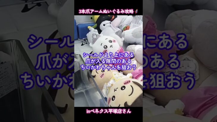 ちいかわプリンセス誕生日ぬいぐるみ獲得🦸inベネクス平塚店さん📍#ベネクス平塚