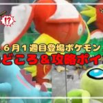 【どのつりざおで釣る？】コイキングを釣ってから旅がスタート！～ワニノコ・セレビィも仲間に加えよう編～　#ポケモン #pokemontcg  #ぬいぐるみ #クレーンゲーム