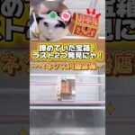 作戦大成功ゲットにゃ⭐️#クレーンゲーム #ベネクス川越店 #ドラクエ #プライズ景品 #ユーフォーキャッチャー #shorts #ねこ