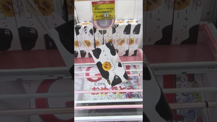 ベネクス大和店でおいしいドーナツの景品をゲット #shorts
