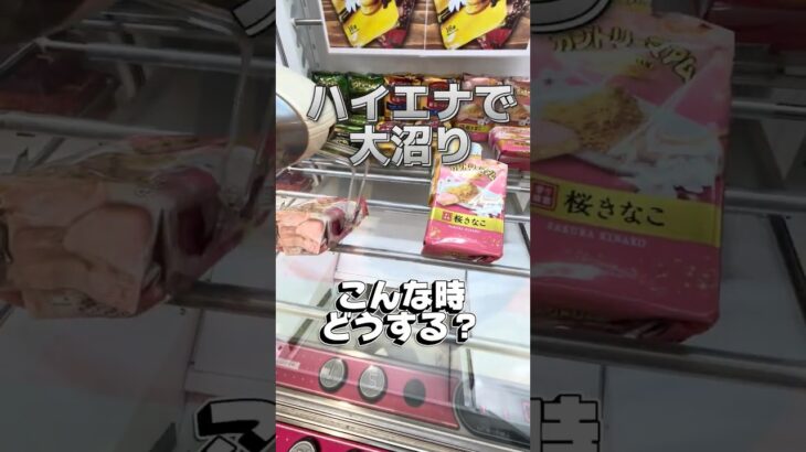 【クレーンゲーム】アームが激弱で動かない時の最終手段がこれ！ #shorts