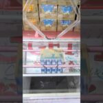 ベネクス浦和店でラッシーパックの景品をゲット #shorts