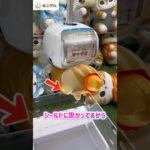 【クレゲ神業】シールドにかかったら大チャンス！神技「くるりんぱ」でぬいぐるみを一発ゲットする瞬間がヤバい✨ #shorts