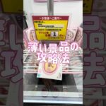 薄型景品を確実に仕留める攻略法！最後はあの技で完全捕獲【こびとづかん】 #shorts