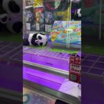 やっとゲットおめでとう🎊🥳 #shorts  #cranegame  #フック #夾娃娃機 #ゲームセンター ＃ゲーセン＃倉庫系 #クレーンゲーム #ゲッタースピン