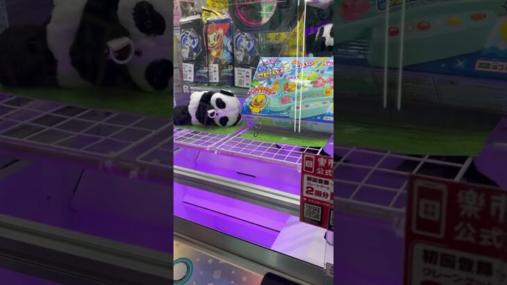 やっとゲットおめでとう🎊🥳 #shorts  #cranegame  #フック #夾娃娃機 #ゲームセンター ＃ゲーセン＃倉庫系 #クレーンゲーム #ゲッタースピン