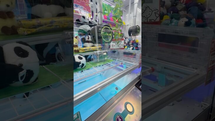 隣が忍たま乱太郎獲りまくってた #ゲーセン #shorts  #cranegame  #フック #夾娃娃機 #ゲームセンター ＃ゲーセン＃倉庫系 #クレーンゲーム #ゲッタースピン #anime