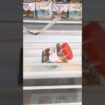 キャロム所沢店でドライマンゴーと焼きかまの景品をゲット #shorts s