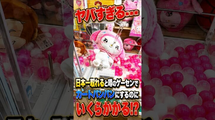 日本一取れると噂のゲーセンでカートパンパンにするのに一体いくらかかるのか、、、、#shorts #クレーンゲーム #ufoキャッチャー # ゲーセン #ゲームセンター #arcade
