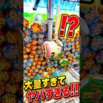 この後褒められました #shorts #クレーンゲーム #ufoキャッチャー # ゲーセン #ゲームセンター #arcade