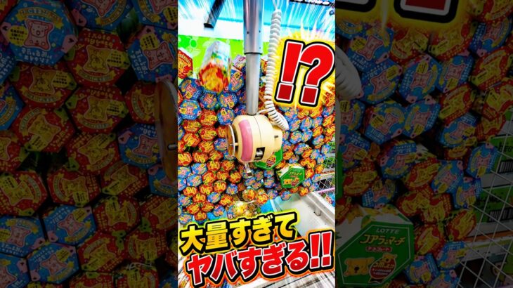 この後褒められました #shorts #クレーンゲーム #ufoキャッチャー # ゲーセン #ゲームセンター #arcade