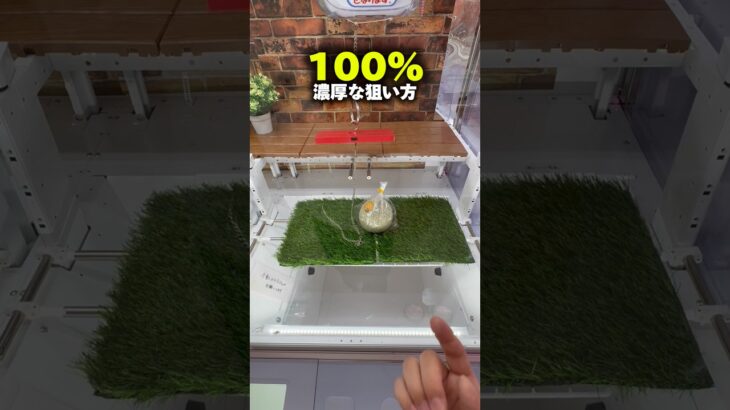 ゲーセンのスーパー化どう思います？ #shorts #クレーンゲーム #ufoキャッチャー #cranegame