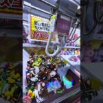 景品しりとりしていきたいと思います🥳#shorts#クレーンゲーム#ゲームセンター#ufoキャッチャー#cranegame#沖縄