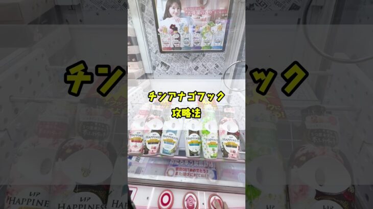 《 フック設定 》 チンアナゴみたいなフックがあったので攻略できるかやってみたら…!? 《 #ufoキャッチャー #クレーンゲーム #フック設定 #フック #攻略 》