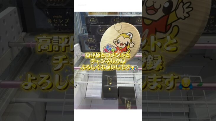 【クレーンゲーム】得意なパターンを見つけよう！ #クレーンゲーム #ゲームセンター #ufoキャッチャー #プライズ獲得 #ゲーセン